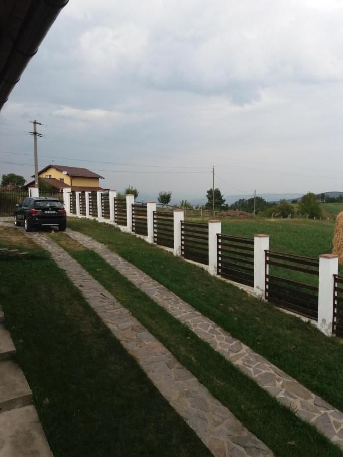 Vila Aloman Sebes  Exterior photo