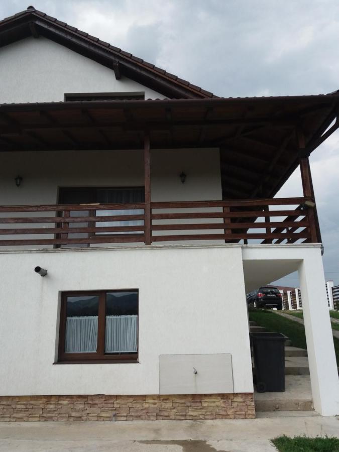 Vila Aloman Sebes  Exterior photo
